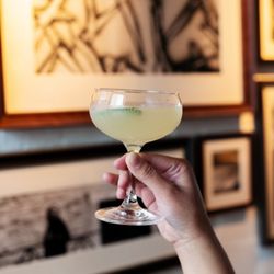 Cocktail