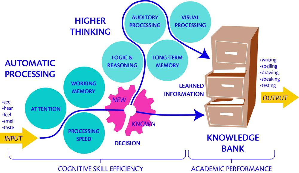LearningRx -Centennial - reading tutor in Greenwood Village, CO