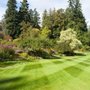 Photo of Lawn Guy