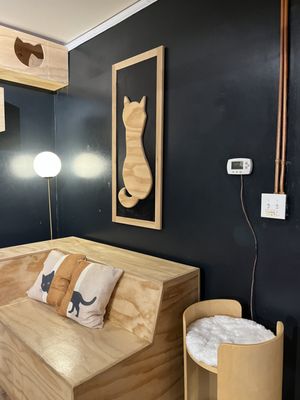 Denver Cat Company by null