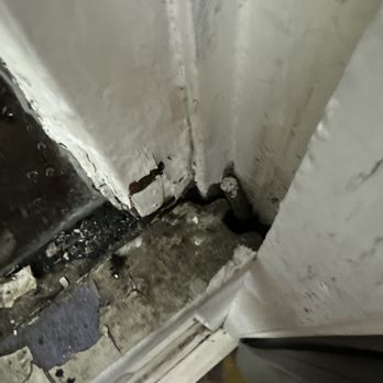 Brick + Timber - Black mold and rotting. - Property Management Near Me - San Francisco, California Brick + Timber - Black mold and rotting. - Property Management Near Me - San Francisco, California