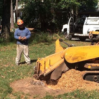 Tree Stump Masters - a man standing next to a tree stump - Landscaping Near Me - Atlanta, Georgia Tree Stump Masters - a man standing next to a tree stump - Landscaping Near Me - Atlanta, Georgia
