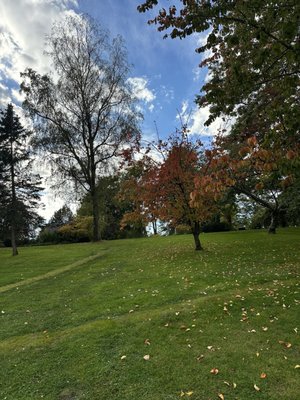 Gothenburg Botanical Garden by null