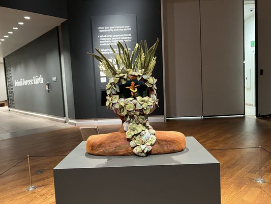 Brigham Young University Museum of Art (MOA) by null