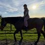 Photo of Healthy Mind & Horse Time