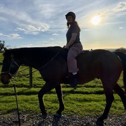 Healthy Mind & Horse Time - Posture and bareback - strengthening our core.
