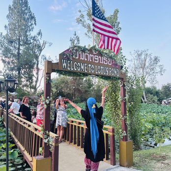 Lotus Pond - Public Markets Near Me - Sanger, California Lotus Pond - Public Markets Near Me - Sanger, California