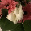 Flower Gallery gift card
