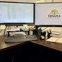 Dinizia Finance & Advisory