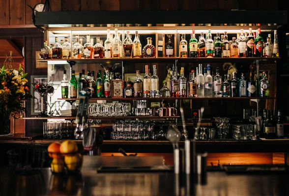 The Mountain House by null