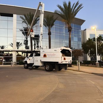 New Season Tree Services - Tree Services Near Me - Riverside, California New Season Tree Services - Tree Services Near Me - Riverside, California