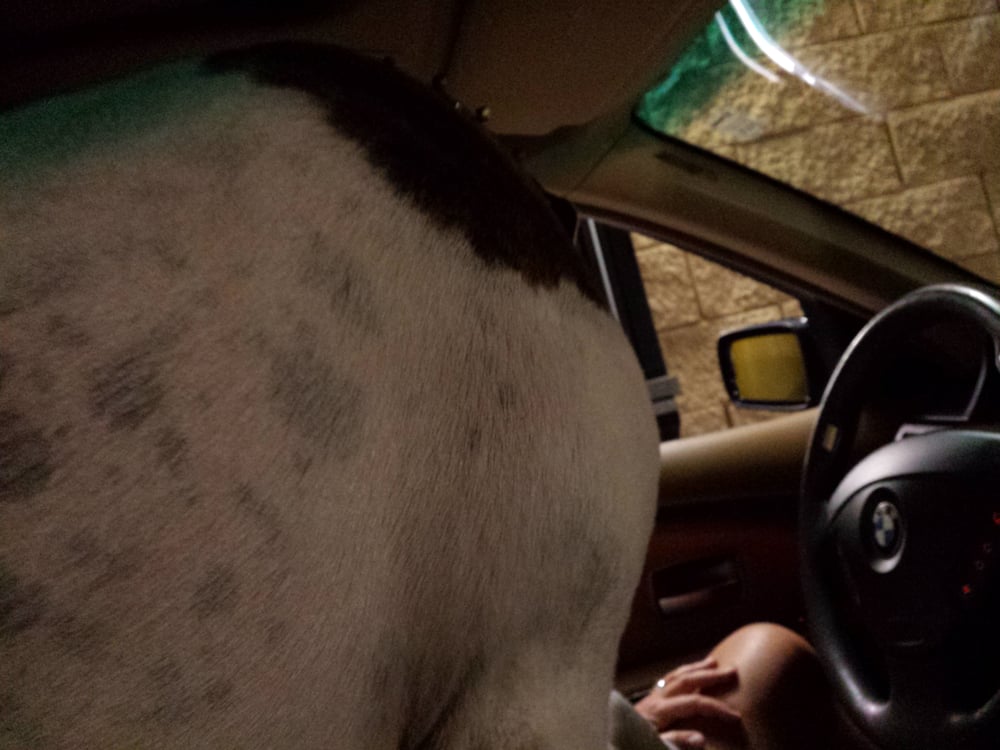 PIZZA HUT Updated September 2024 1230 3rd St S, Jacksonville Beach, Florida Pizza