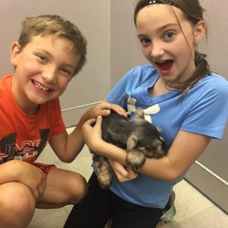 Petland Wichita - this lil guy!