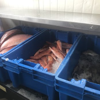 Two Bills Seafood - Seafood Markets Near Me - Fort Lauderdale, Florida Two Bills Seafood - Seafood Markets Near Me - Fort Lauderdale, Florida