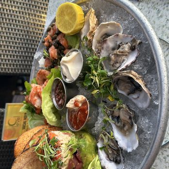 C Level - Chilled Seafood Platter - New American Near Me - San Diego, California C Level - Chilled Seafood Platter - New American Near Me - San Diego, California