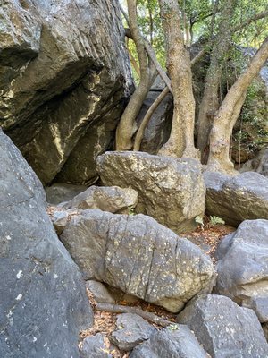 Salmon Creek Falls by null