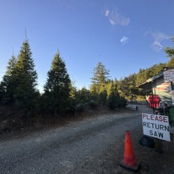Summit Christmas Tree Farm - Exiting is where you pay and return the saw.