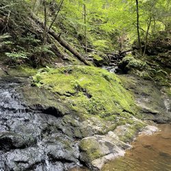 Nonnewaug Falls - Waterfall