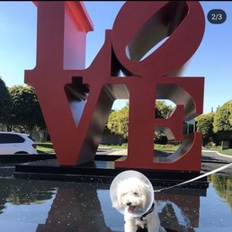 My dog at the love sign. My dog at the love sign.