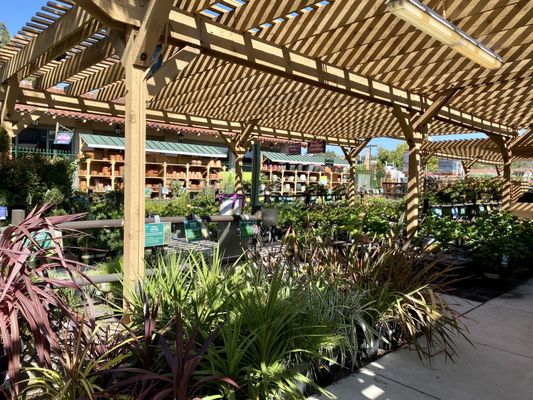 Armstrong Garden Centers San Diego
