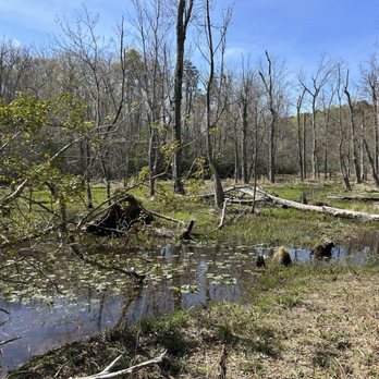 Calvert Cliffs State Park - Parks Near Me