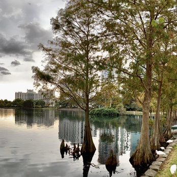 Lake Eola Park - Better view with the rain storm coming - Parks Near Me - Orlando, Florida