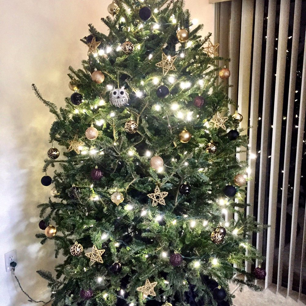 Santas Garden - My tree (: - 2016 - Christmas Trees Near Me - Miami, Florida Santas Garden - My tree (: - 2016 - Christmas Trees Near Me - Miami, Florida