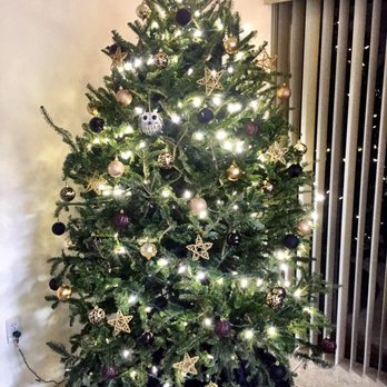 Santas Garden - My tree (: - 2016 - Christmas Trees Near Me - Miami, Florida Santas Garden - My tree (: - 2016 - Christmas Trees Near Me - Miami, Florida