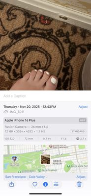 Stanyan Park Hotel by null