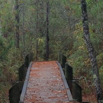 Cedar Point Tideland Trailhead - One of the amazing bridges along the trail! - Parks Near Me - Swansboro, North Carolina Cedar Point Tideland Trailhead - One of the amazing bridges along the trail! - Parks Near Me - Swansboro, North Carolina