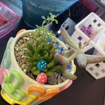 Zinks Town - Decorated plant! - Art Galleries Near Me - Albuquerque, New Mexico