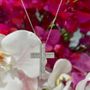 Mrs. C. E. Phelps by Northampton Jewelry