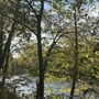 Photo of West Canada Creek Campground 