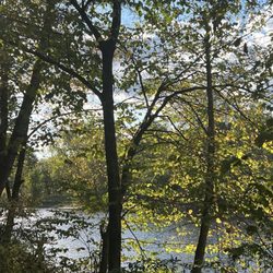 West Canada Creek Campground
