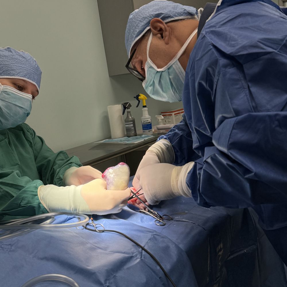 THE BEST 10 Veterinarians Open on Sunday near Laguna Niguel, CA 92677 -  Updated 2026 - Quality & Affordability - Yelp