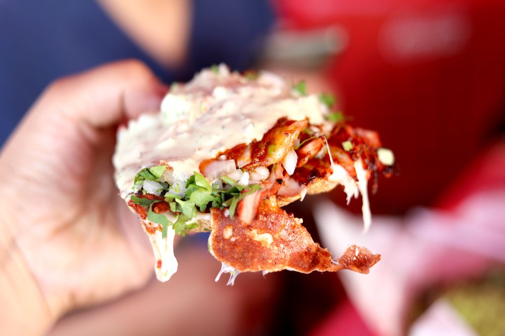 TACO NAZO 295 Photos & 163 Reviews Tacos Blvd. Sanchez Taboada