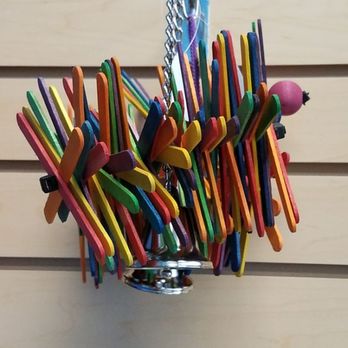 Kiko's Toy Chest - Popsicle stick spinner - Pet Groomers Near Me - Tacoma, Washington Kiko's Toy Chest - Popsicle stick spinner - Pet Groomers Near Me - Tacoma, Washington