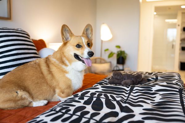 Joinery Apartments by null