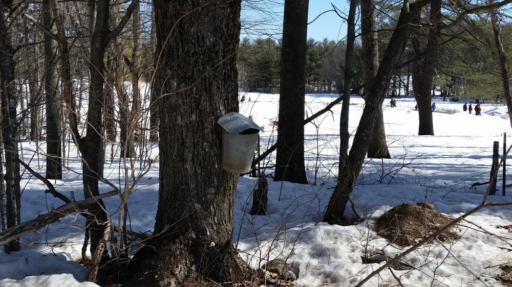 Cooper's Farm - equestrian in Windham, ME