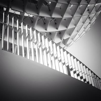 Setas de Sevilla by null