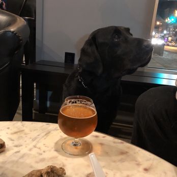 Higher Gravity - Double IPA - Beer Bar Near Me - Cincinnati, Ohio