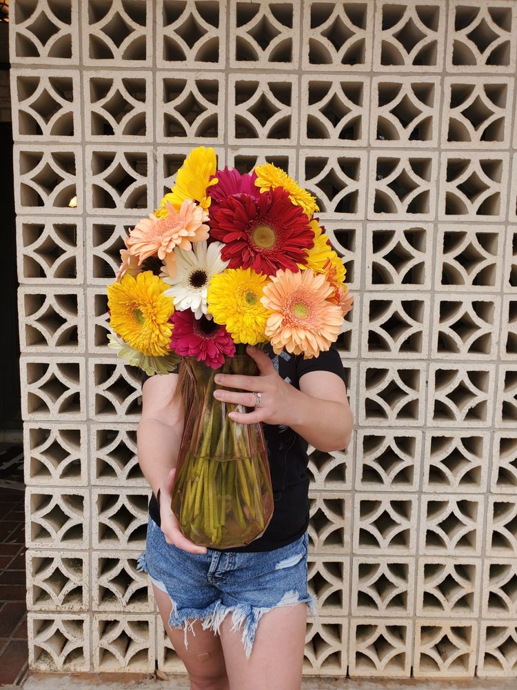 BLOOMS TO GO Updated September 2024 San Antonio, Texas Florists