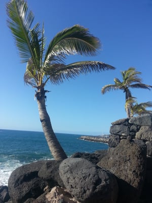 Dreams Jardín Tropical Resort & Spa by null