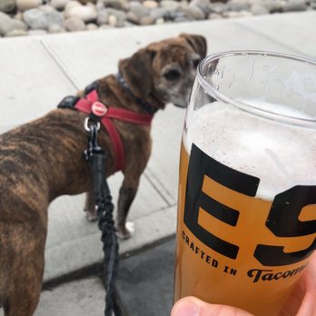E9 Brewing - Breweries Near Me - Tacoma, Washington