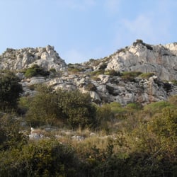 La Tête de Chien