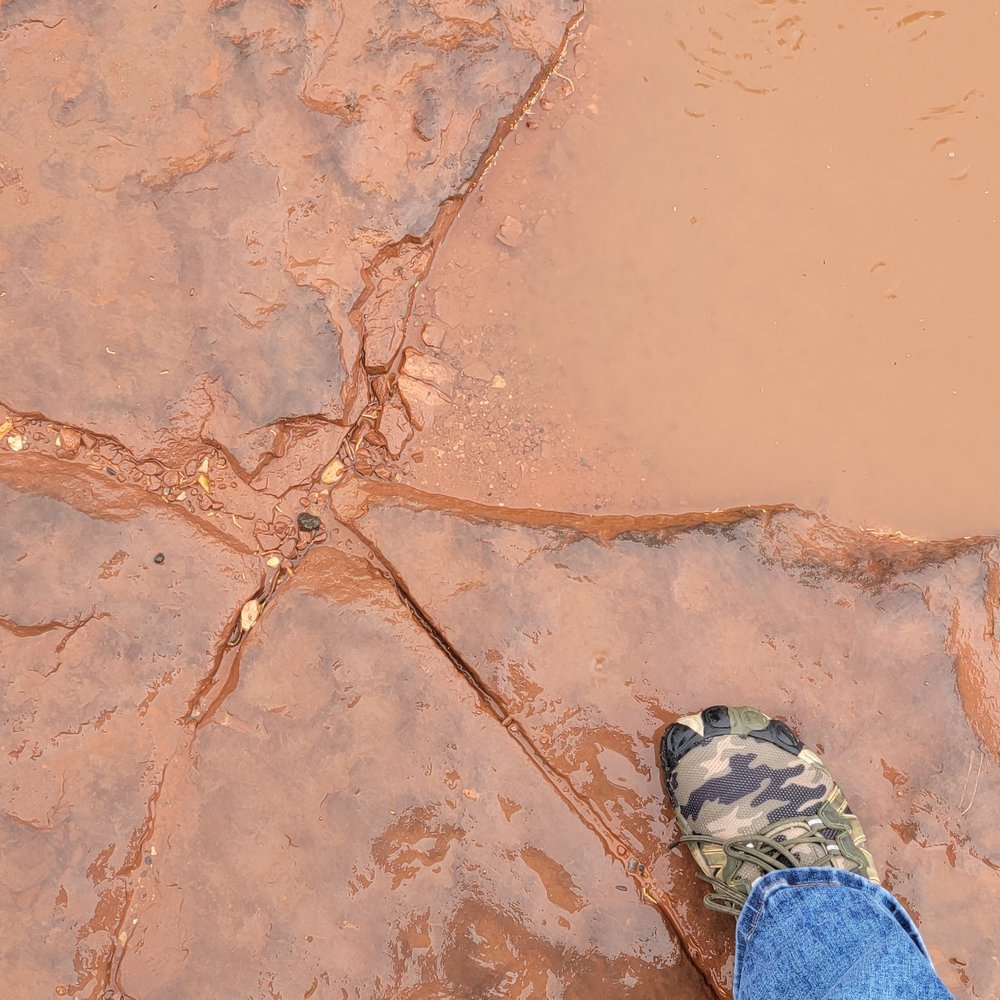 Broken Arrow Trail - Beautiful Sedona red rocks - Hiking Near Me