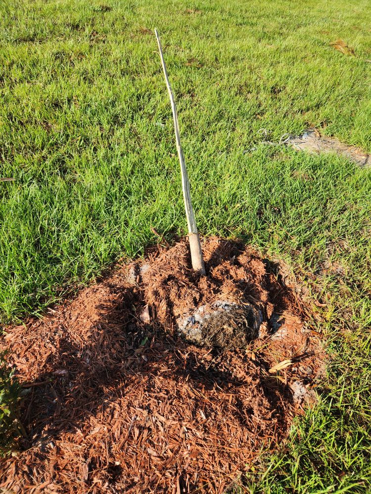 Slide of Greenbelt by Chdo