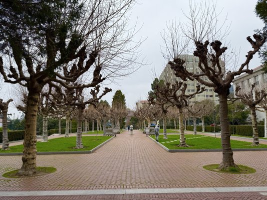 The Campanile by null