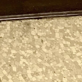 Fulton Center - I have no idea what this is when zooming in. It remains unattended to however. - Occupational Therapy Near Me - Gloversville, New York
