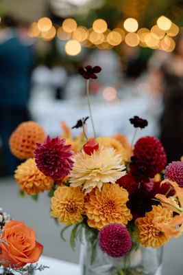 Exfolia Botanical by null